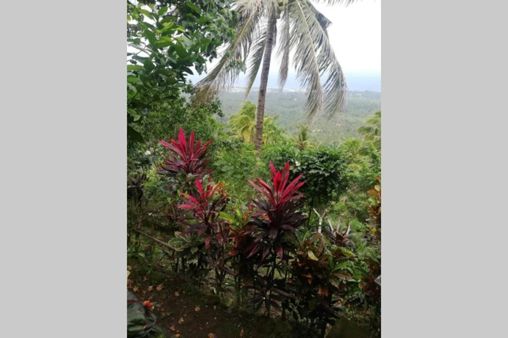 The Balcony Of The Camiguin Island Apartment Мамбаджао Екстериор снимка