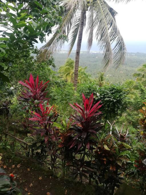 The Balcony Of The Camiguin Island Apartment Мамбаджао Екстериор снимка